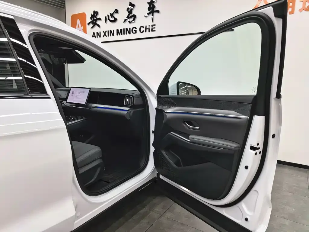 BYD Pro New Energy — фото 8