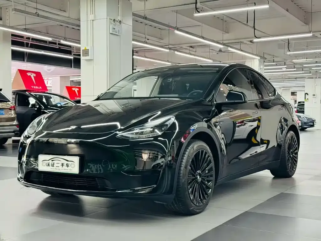 Tesla Model Y — фото 1