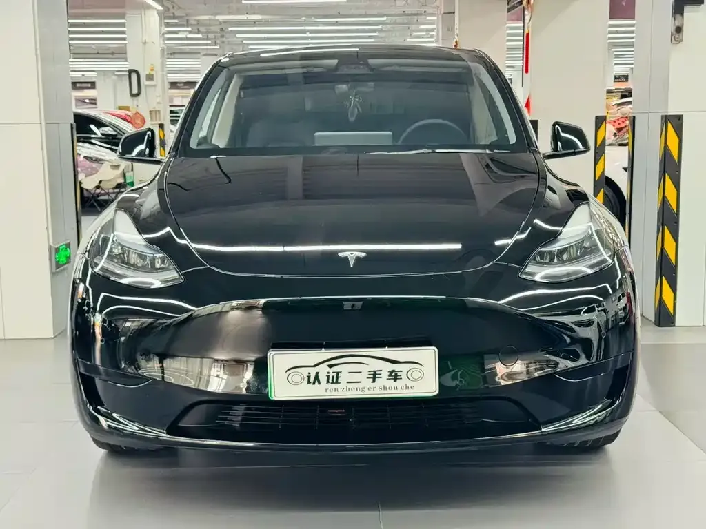 Tesla Model Y — фото 2