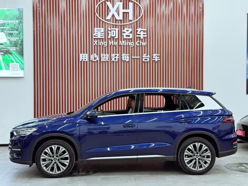 BYD Pro New Energy — фото 4