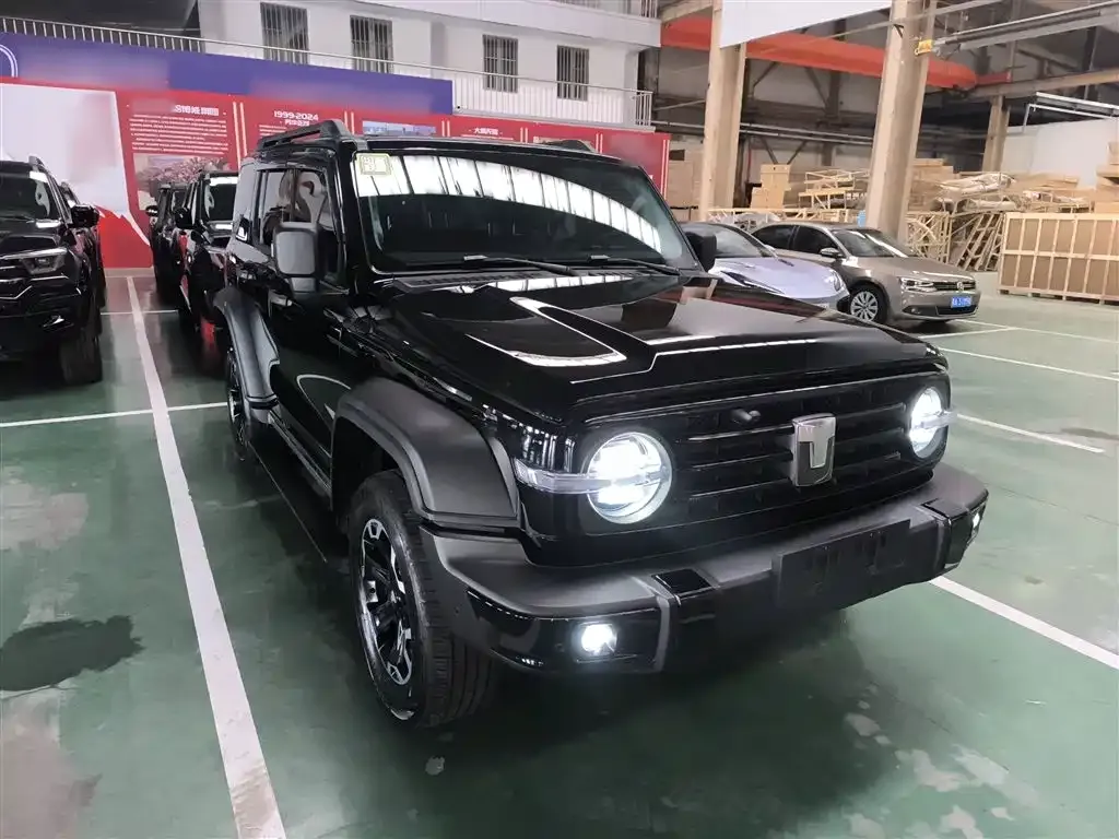 Tank 300 New Energy 2025 из CN, фото 4