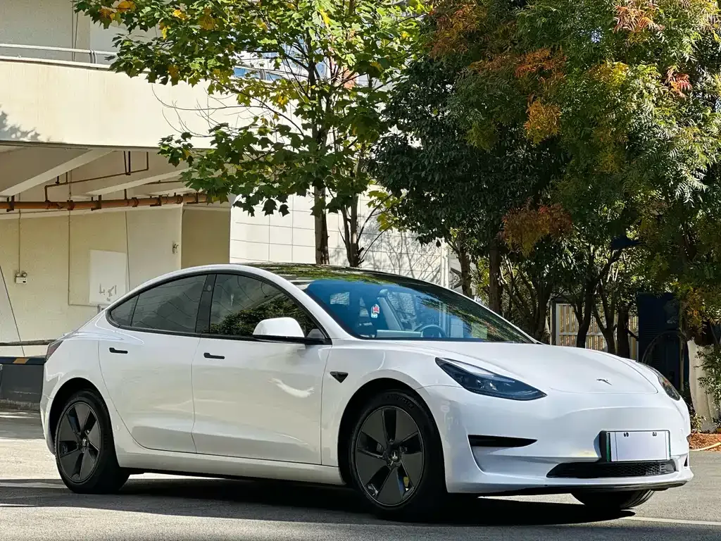 Tesla Model 3 — фото 2