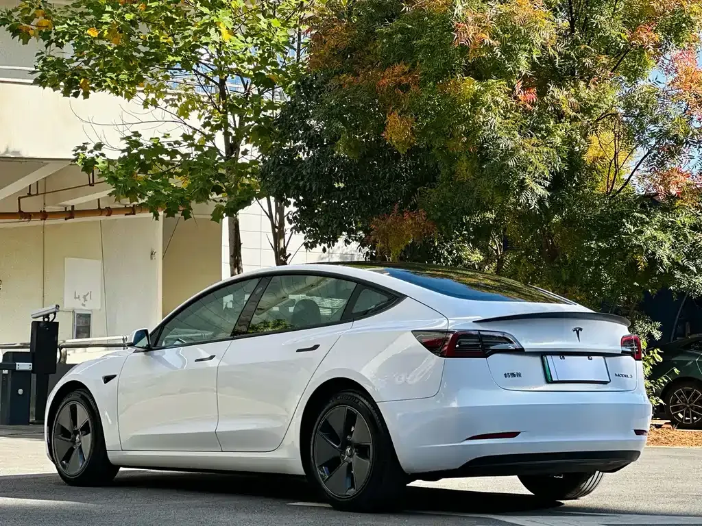 Tesla Model 3 — фото 7