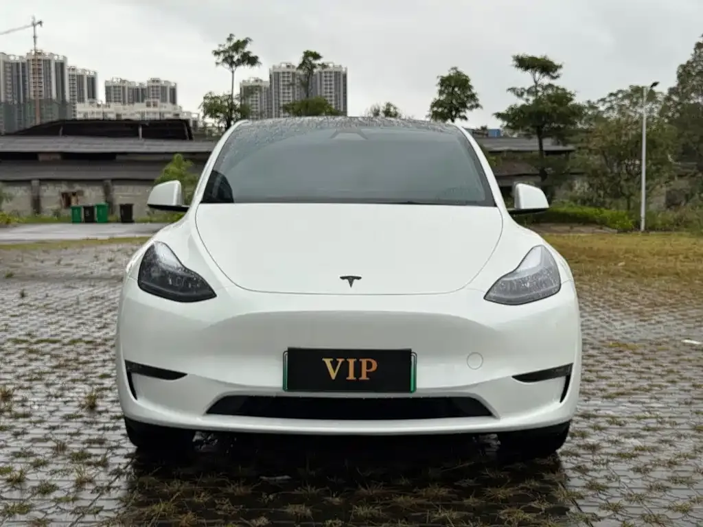 Tesla Model Y — фото 2
