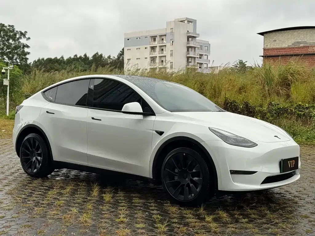 Tesla Model Y — фото 3