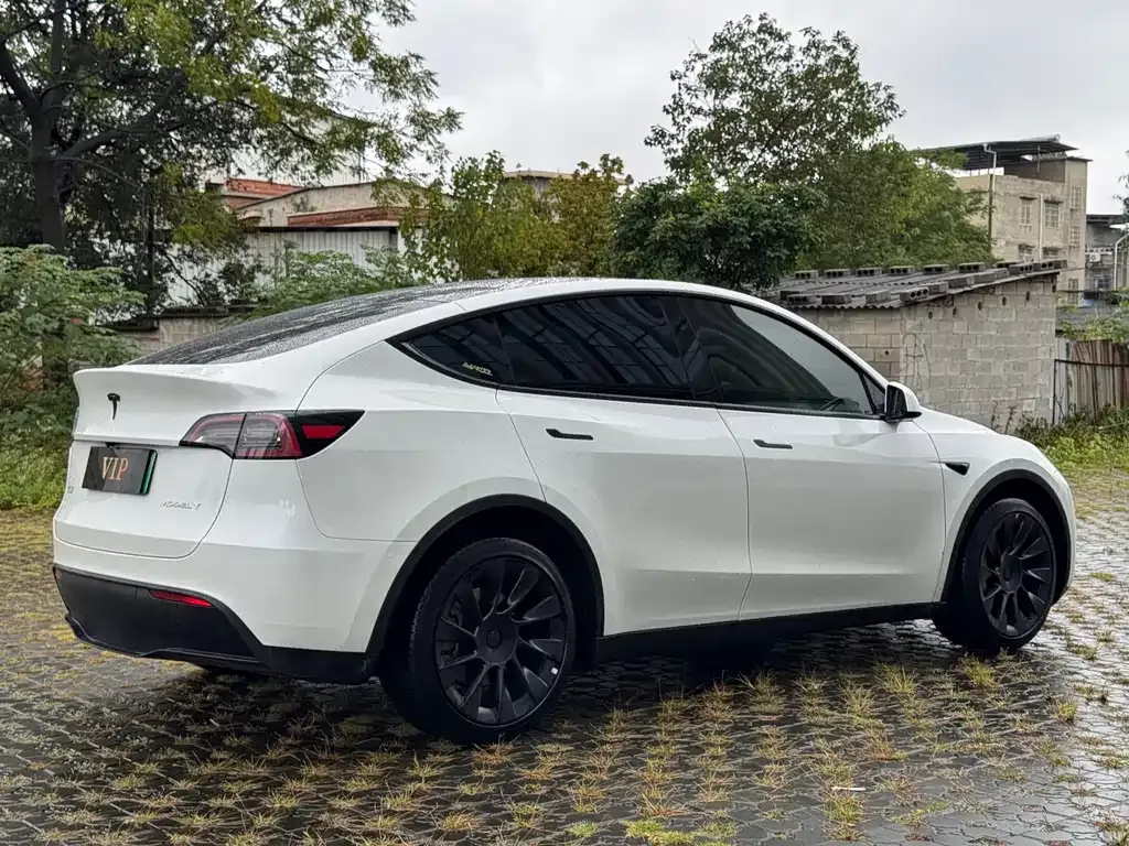 Tesla Model Y — фото 4