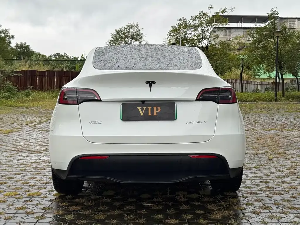 Tesla Model Y — фото 5