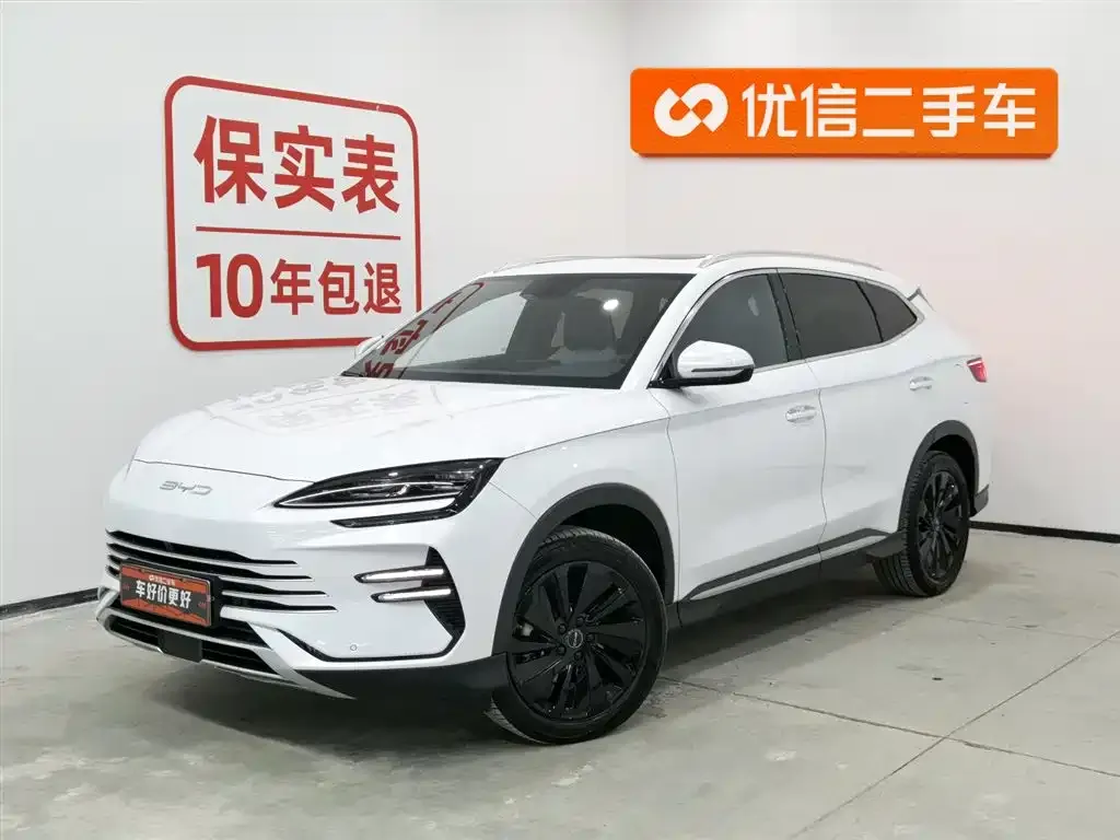 BYD PLUS New Energy — фото 1