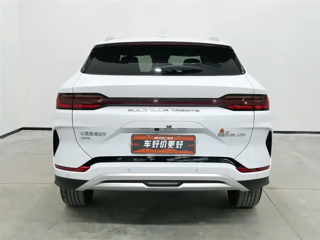 BYD PLUS New Energy — фото 4