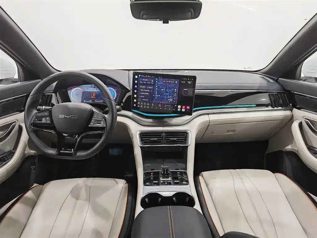 BYD PLUS New Energy — фото 5