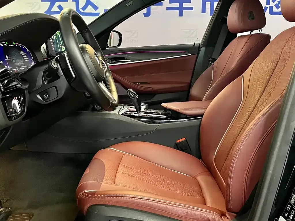 BMW 5 Series 2021 из CN, фото 10