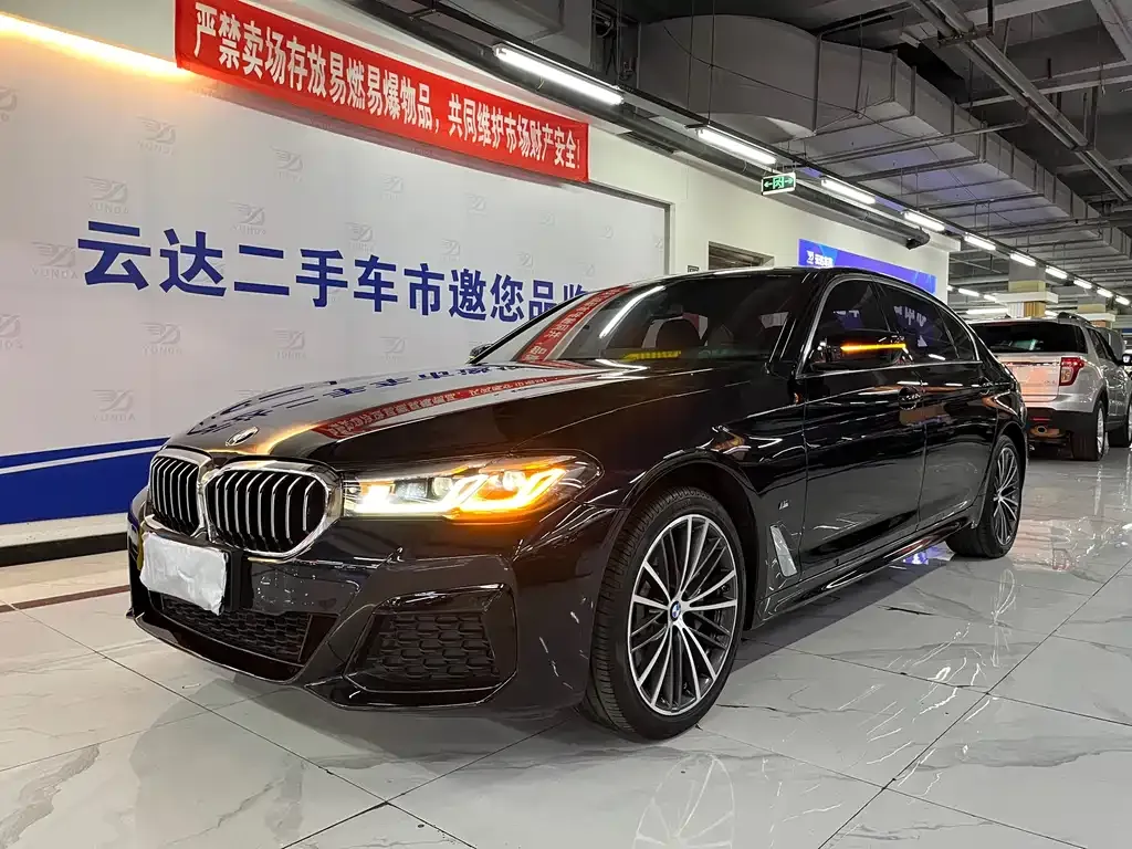 BMW 5 Series 2021 из CN, фото 2