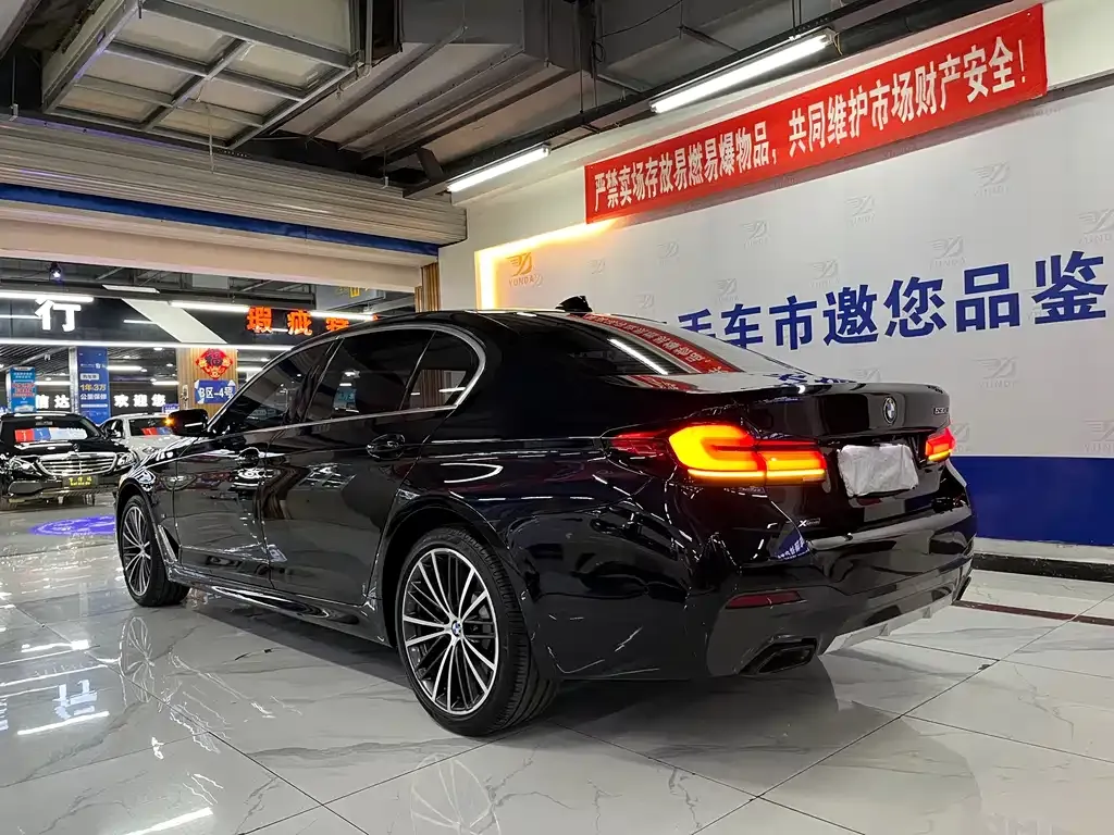 BMW 5 Series 2021 из CN, фото 3