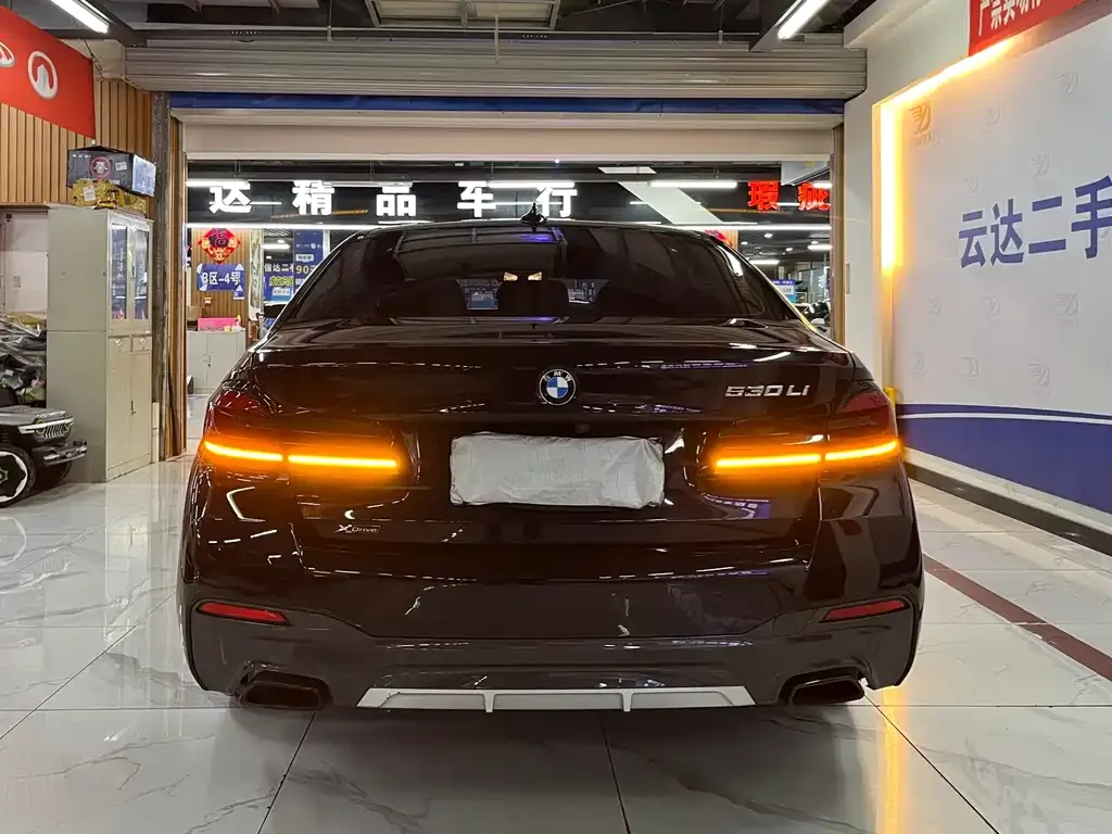 BMW 5 Series 2021 из CN, фото 4