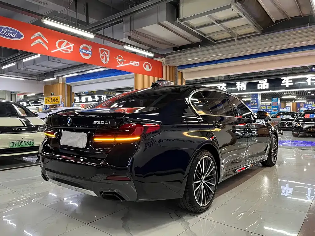 BMW 5 Series 2021 из CN, фото 5