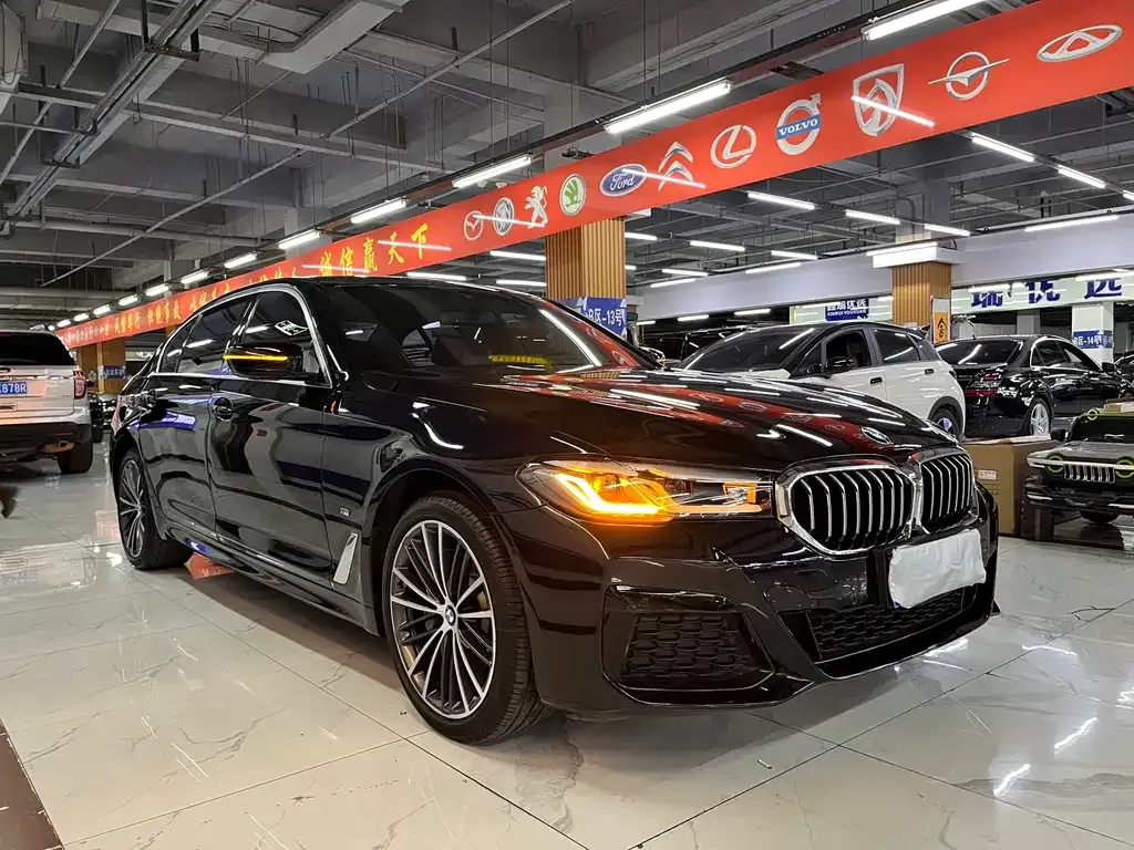 BMW 5 Series 2021 из CN, фото 6