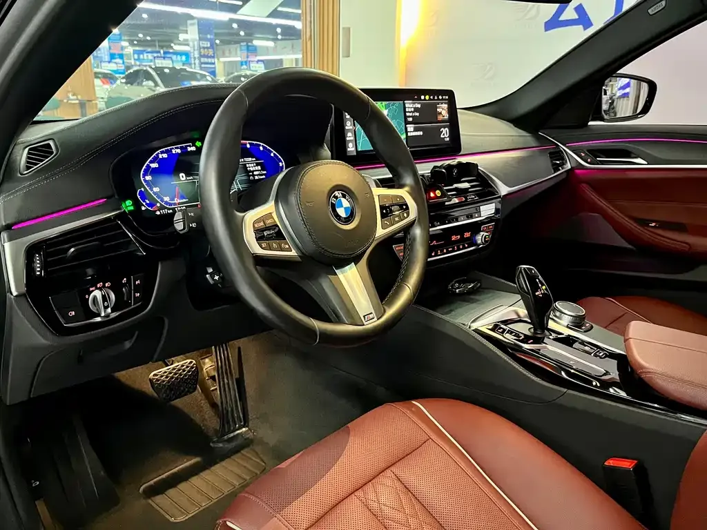 BMW 5 Series 2021 из CN, фото 9