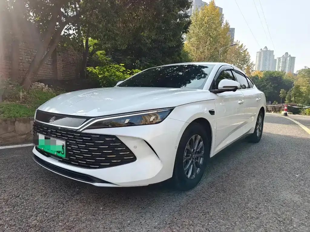 BYD Qin L — фото 1