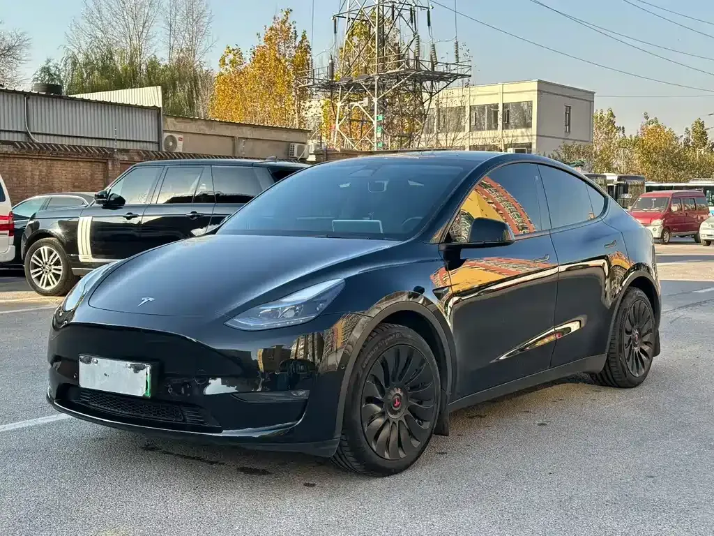 Tesla Model Y — фото 1