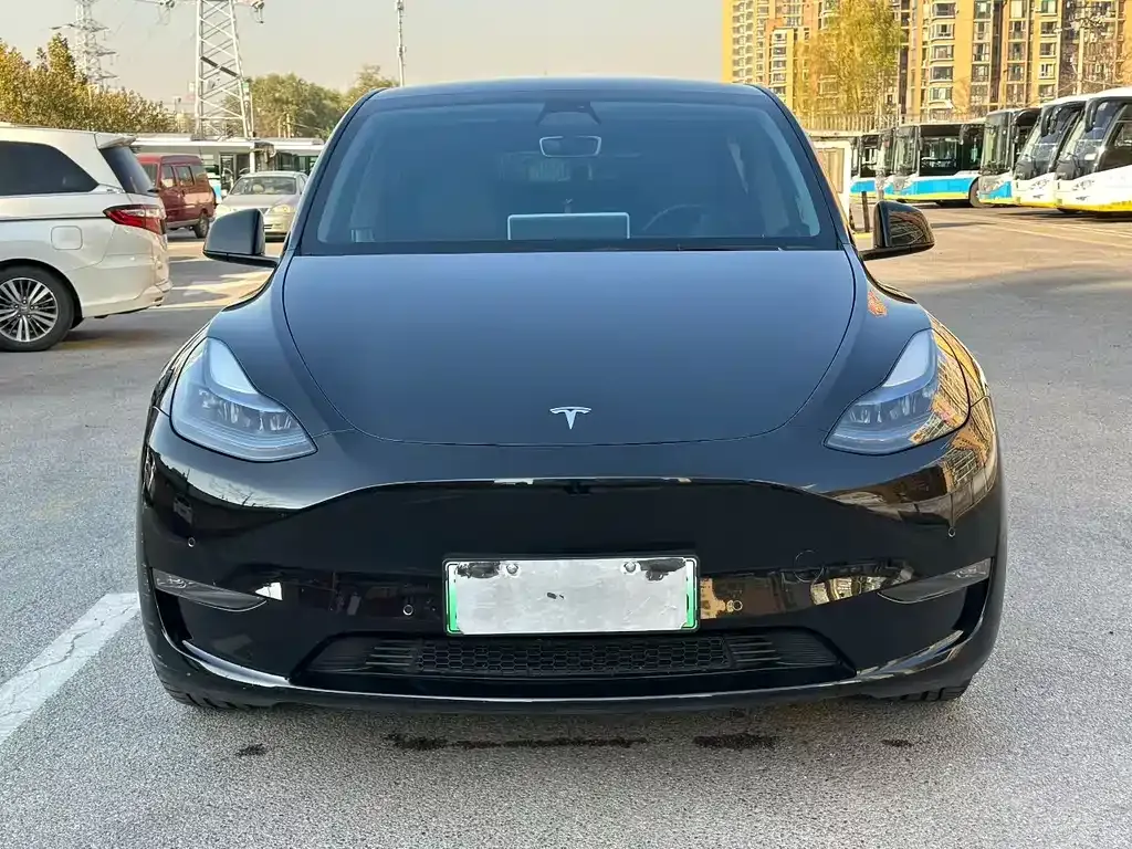 Tesla Model Y — фото 2