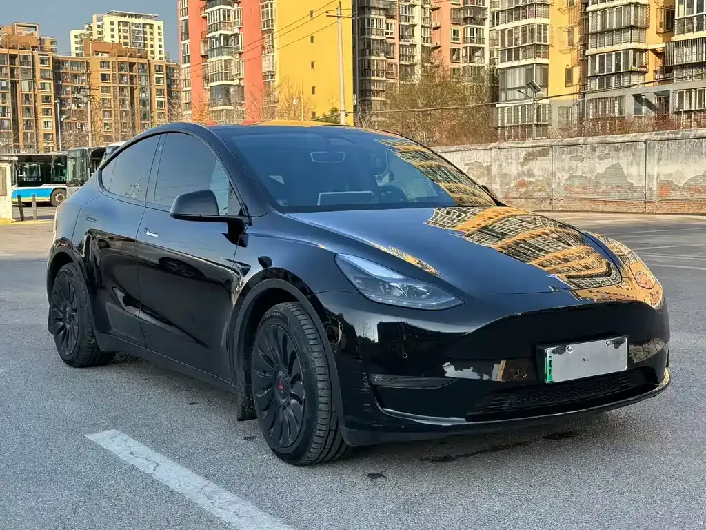 Tesla Model Y — фото 3
