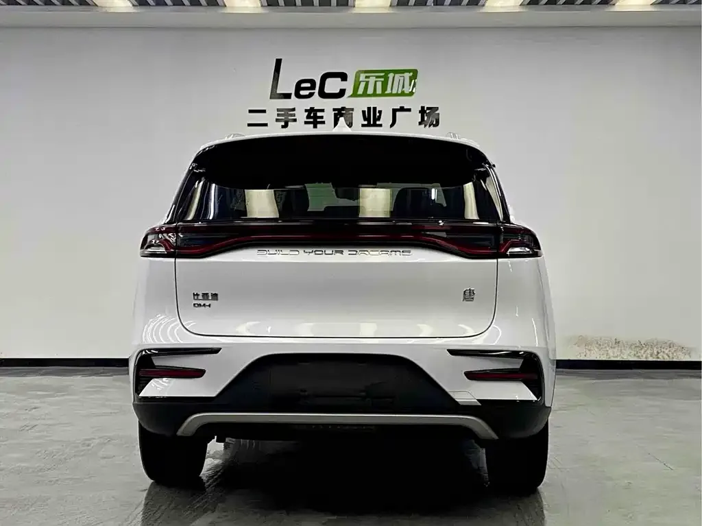 BYD Tang New Energy 2021 из CN, фото 5