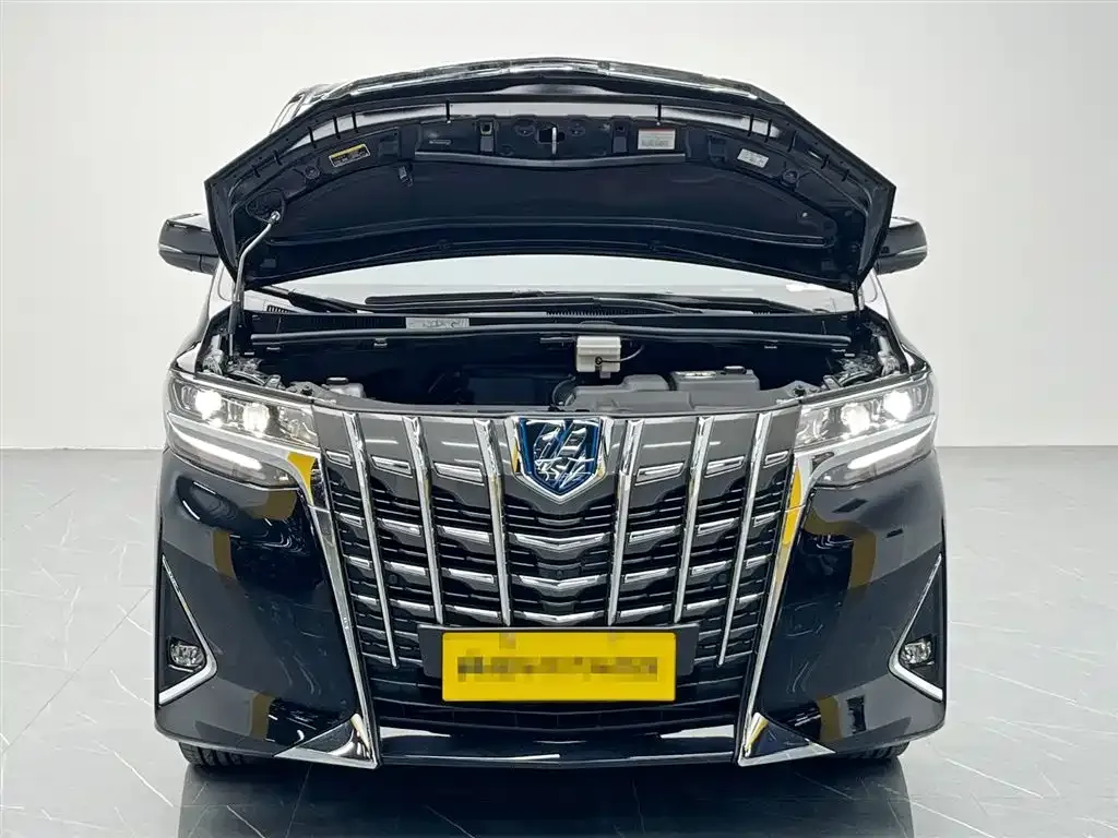 Toyota Alphard — фото 9