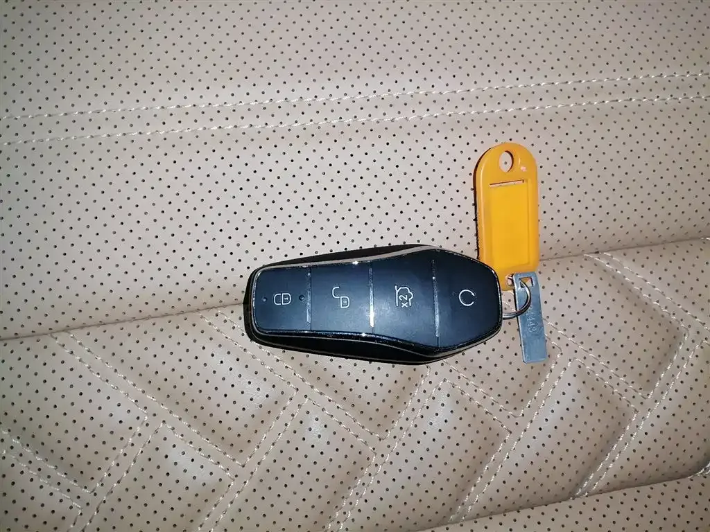 BYD L DM-i — фото 9