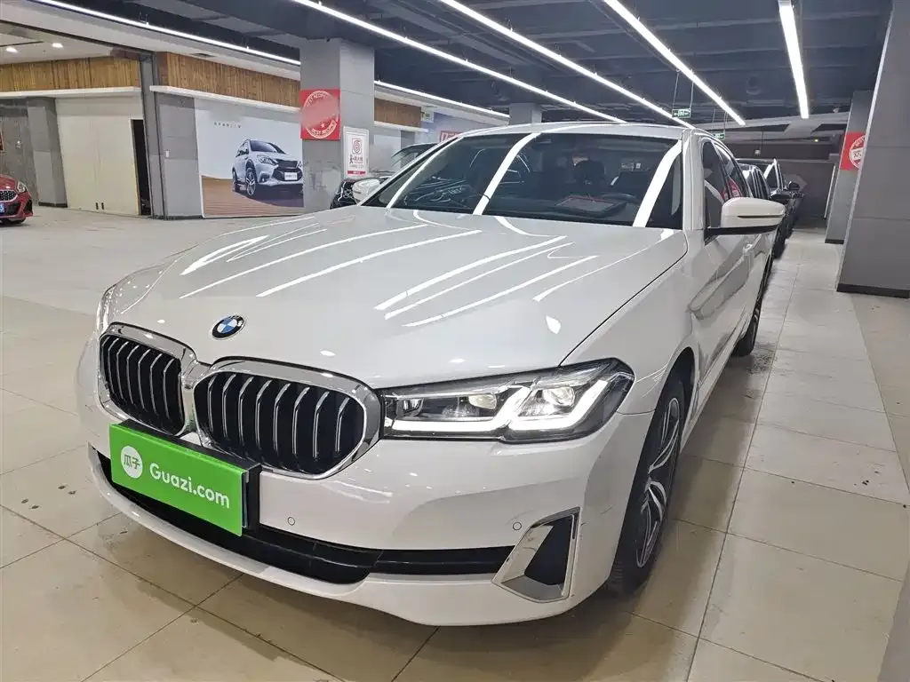 BMW 5 Series 2021 из CN, фото 1