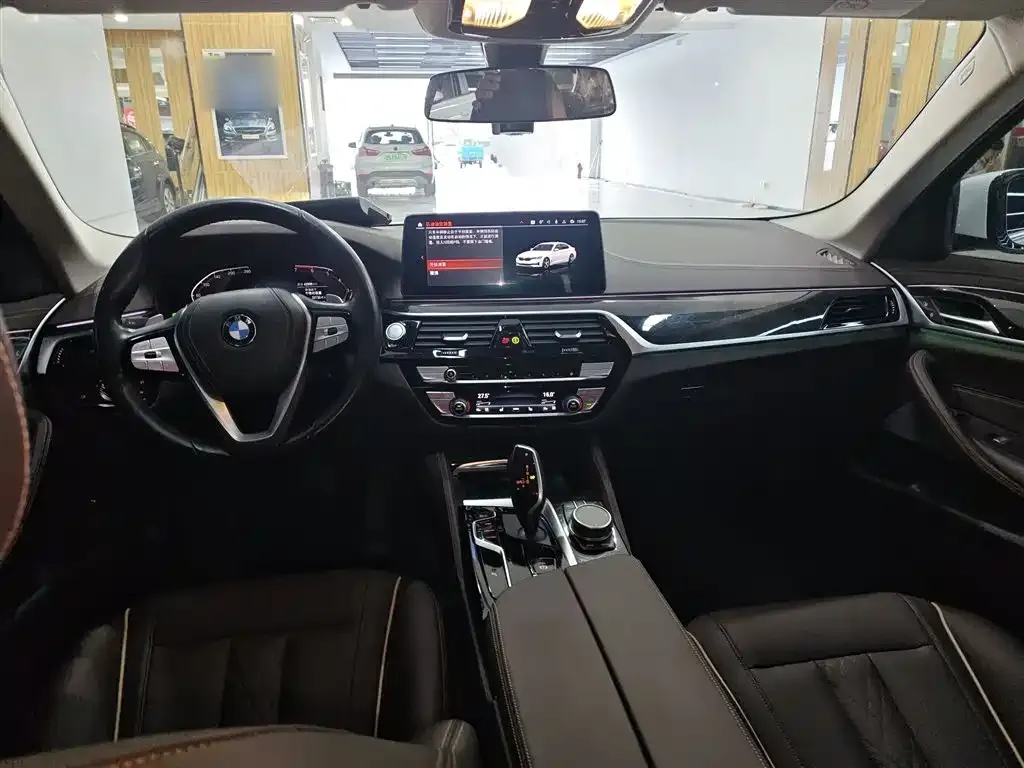 BMW 5 Series 2021 из CN, фото 10