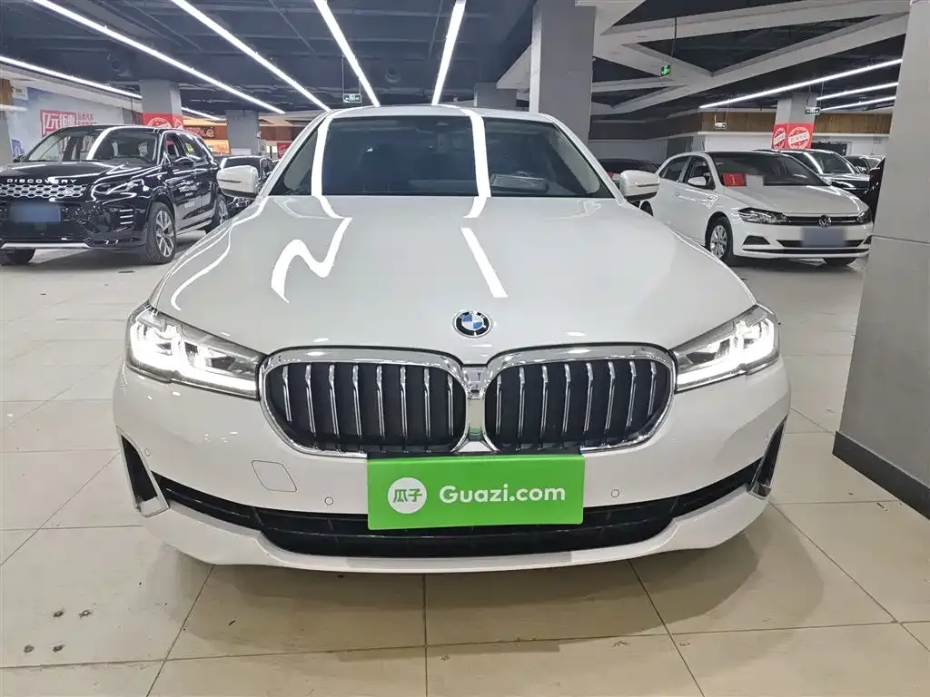 BMW 5 Series 2021 из CN, фото 3