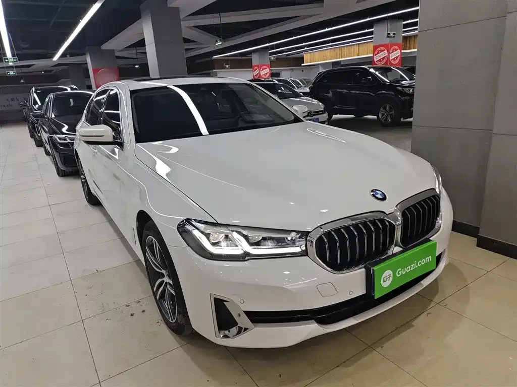 BMW 5 Series 2021 из CN, фото 4