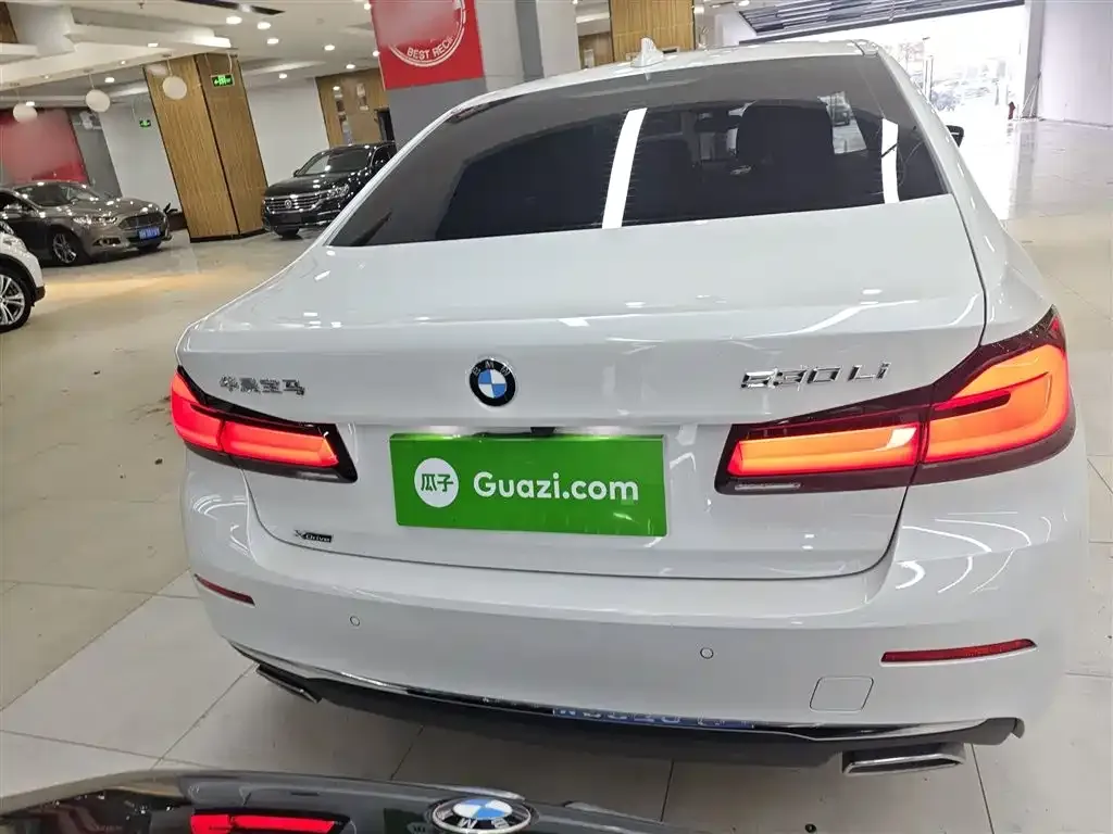 BMW 5 Series 2021 из CN, фото 6