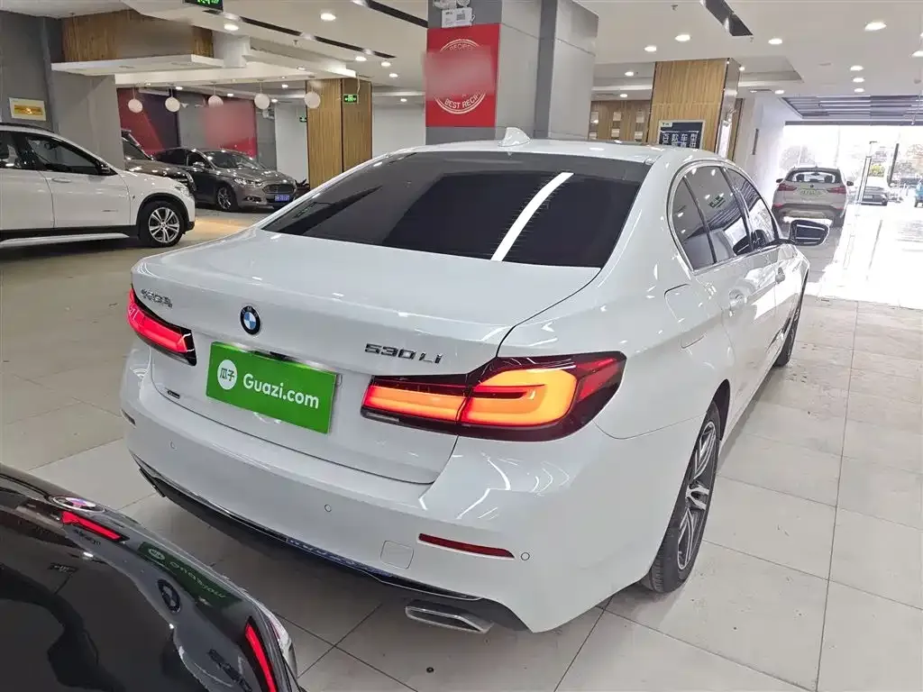 BMW 5 Series 2021 из CN, фото 7