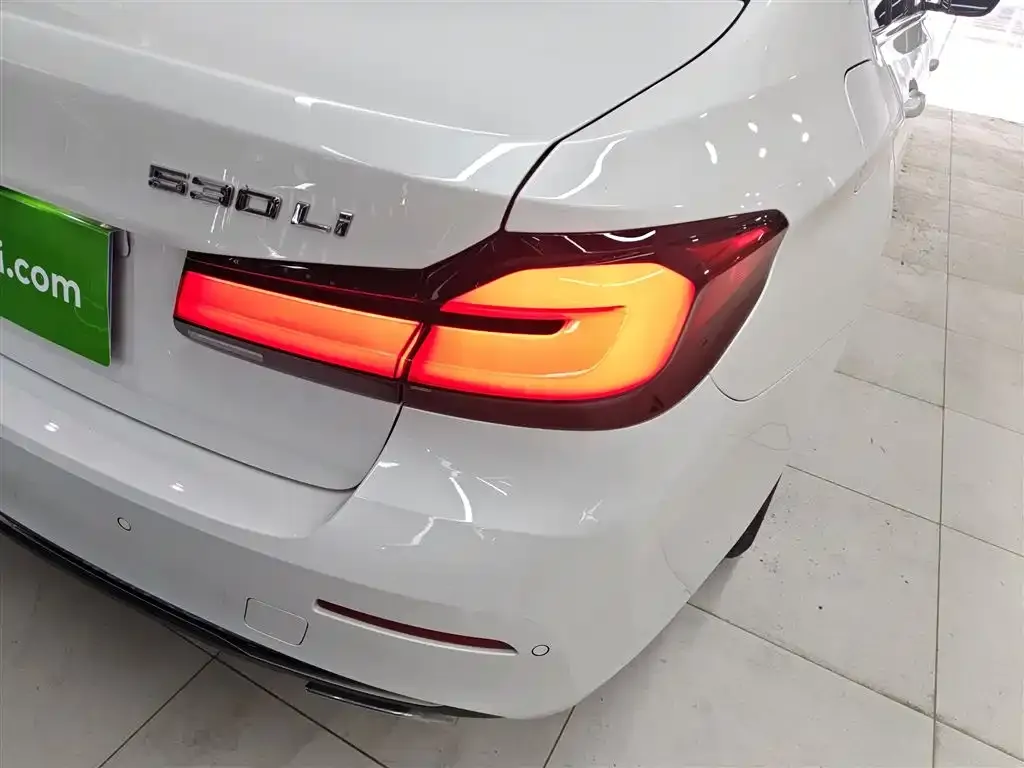 BMW 5 Series 2021 из CN, фото 8