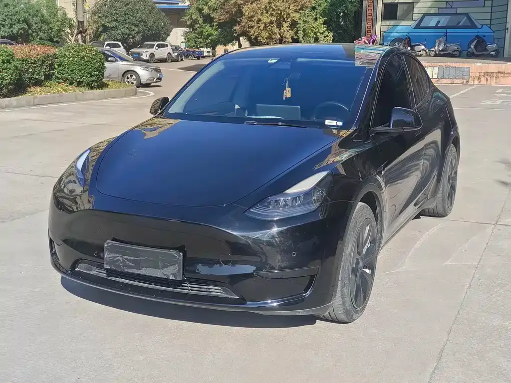 Tesla Model Y 2022 из CN, фото 1