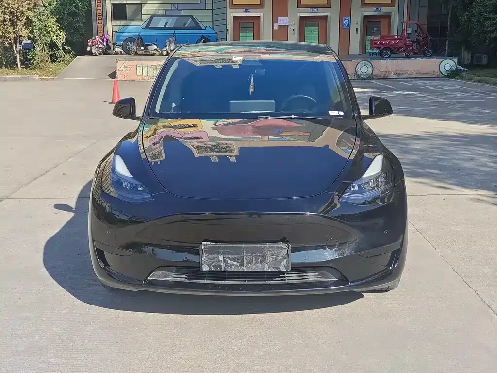 Tesla Model Y 2022 из CN, фото 2