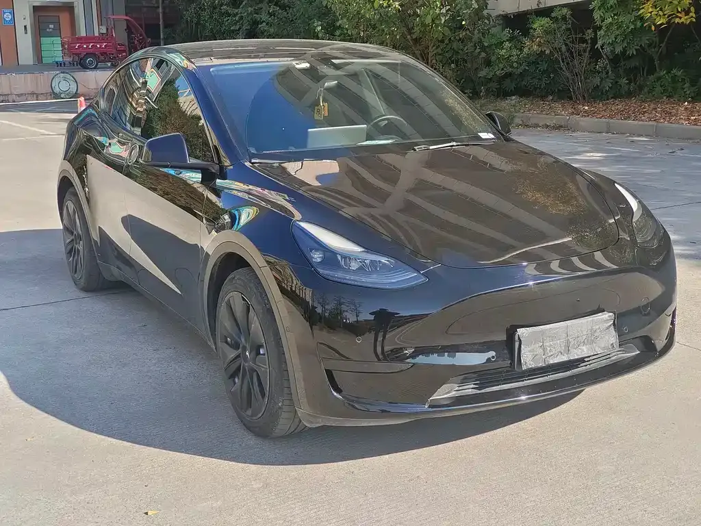 Tesla Model Y 2022 из CN, фото 3