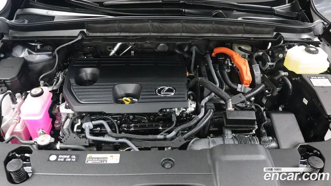Lexus RX 2025 из KR, фото 6