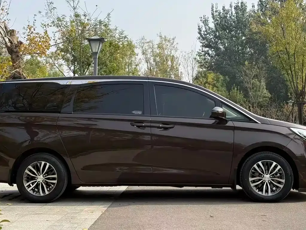 Buick GL8 2021 из CN, фото 9