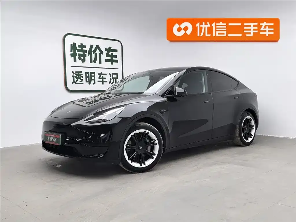 Tesla Model Y — фото 1