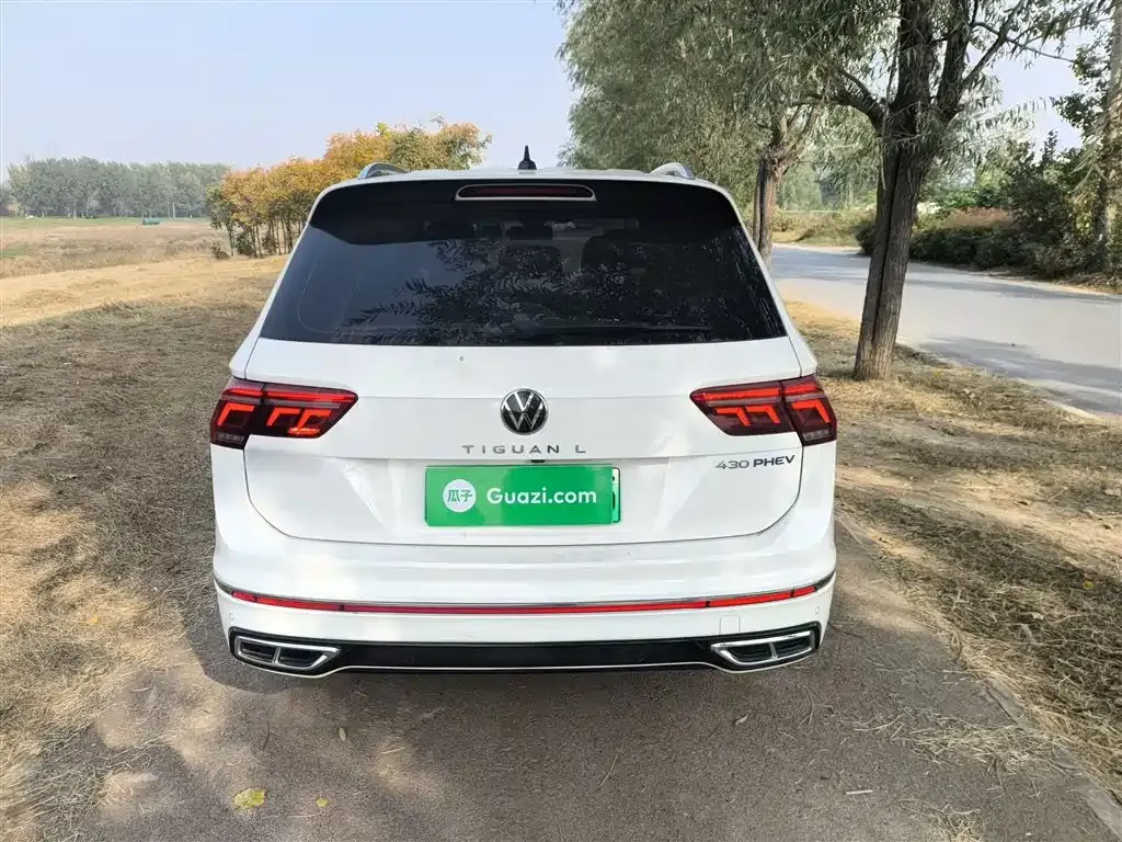 Volkswagen Tiguan L New Energy — фото 6