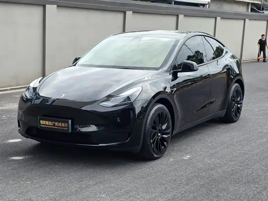 Tesla Model Y — фото 1