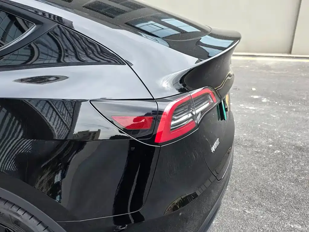 Tesla Model Y — фото 10