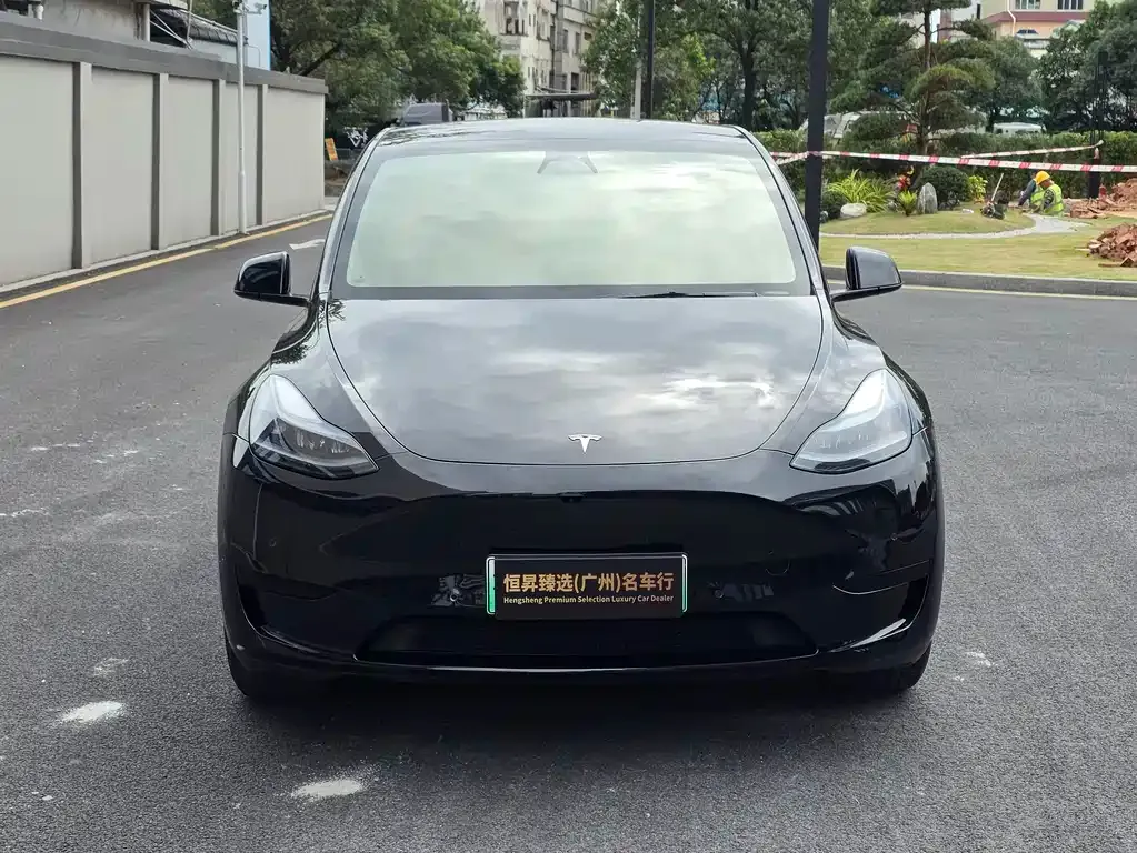 Tesla Model Y — фото 2