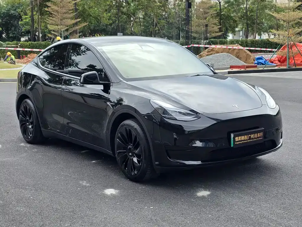 Tesla Model Y — фото 3
