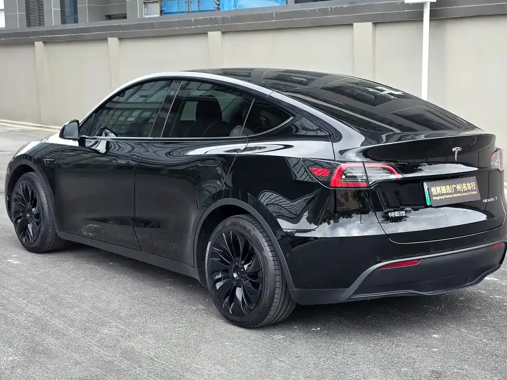 Tesla Model Y — фото 6