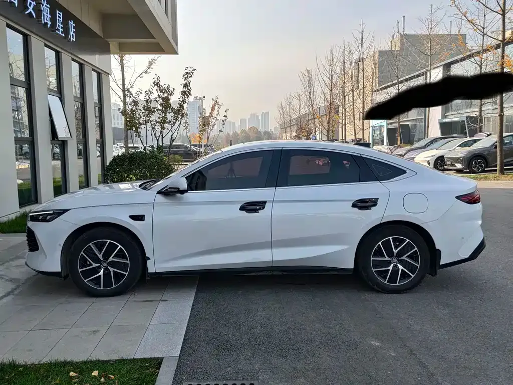 BYD Qin L — фото 5