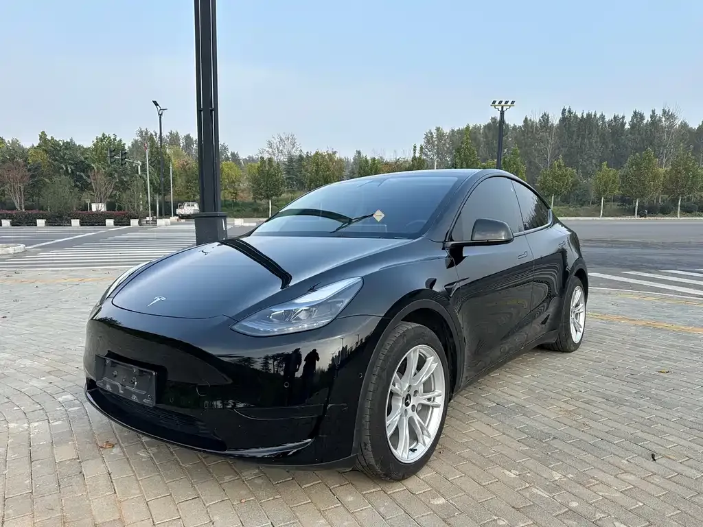 Tesla Model Y 2023 из CN, фото 1