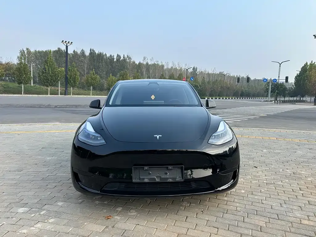 Tesla Model Y 2023 из CN, фото 2